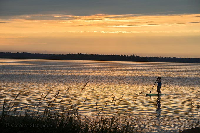 _DSC9928sunset_2048-copy