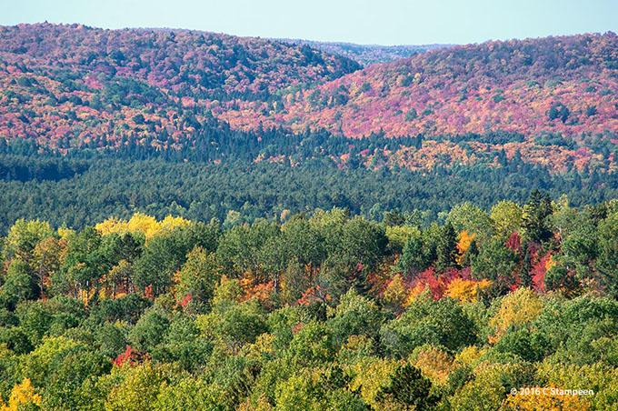 _DSC4734algonquin_680