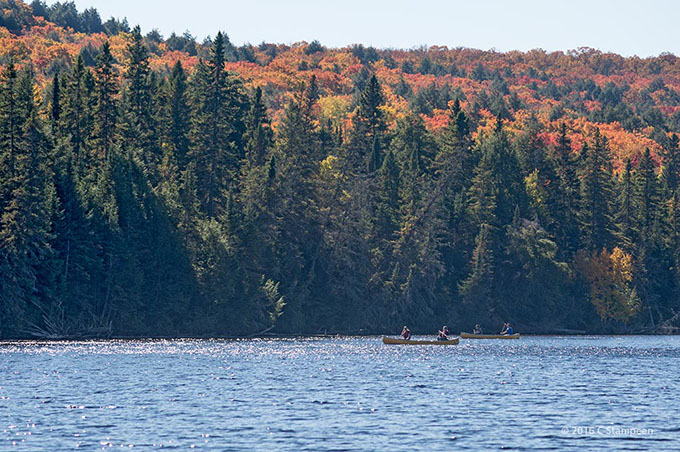 _DSC5511algonquin_680