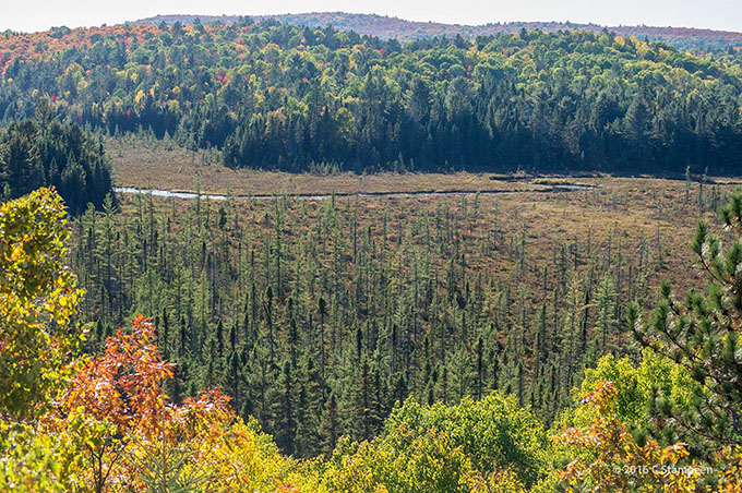 _DSC5865algonquin_680