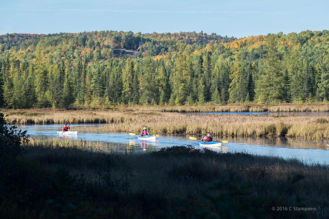 _DSC6048algonquin_680